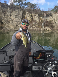 Lake Travis Bass fishing adventures await!
